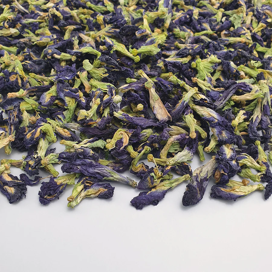 Just Camellia Blue Cornflower Petals