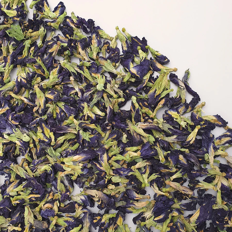 Just Camellia Blue Cornflower Petals